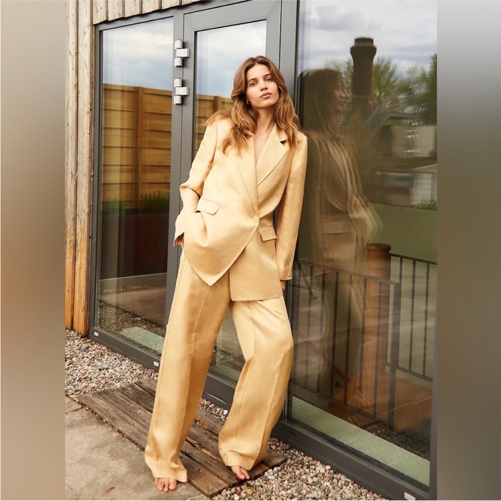 Aritzia Wilfred Le Fou Tango Trousers Tan Gold size 00